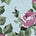 Rose Print Blue