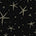 Star Tulle Black