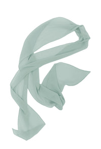 WTHNG Print Sash Plus